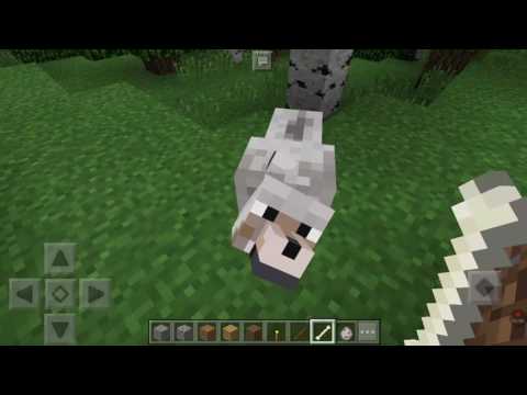 Cómo tener un lobo como mascota en Minecraft