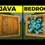 Bedrock vs Java: ¿Cuál es la diferencia?